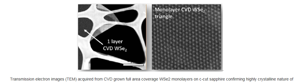 基于藍寶石襯底的全區域覆蓋的單層二硒化鎢-Full Area Coverage Monolayer WSe2 on c-cut Sapphire