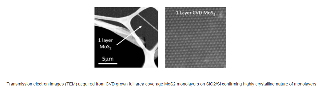 基于二氧化硅襯底的全區域覆蓋的單層二硫化鉬-Full Area Coverage Monolayer MoS2 on SiO2/Si