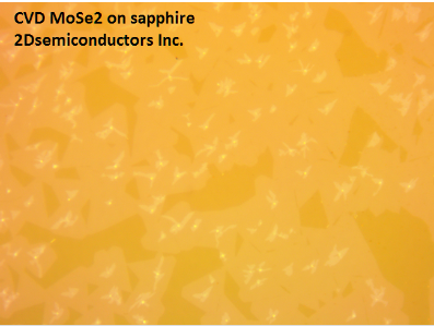 CVD單層二硒化鉬薄膜 MoSe2(Molybdenum Selenide)-CVD Monolayer